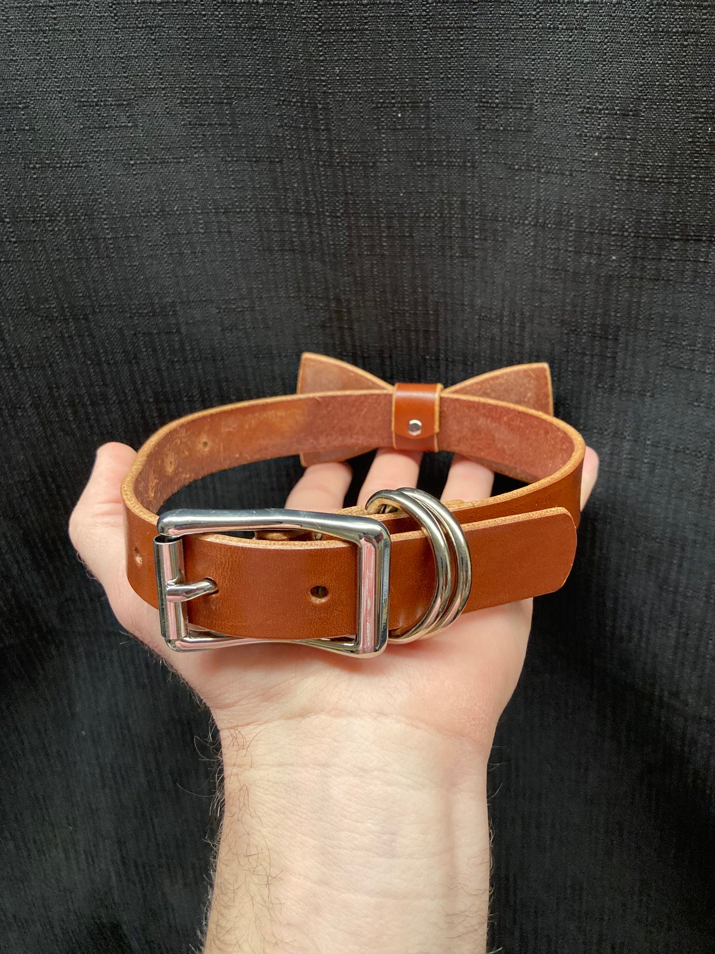 Medium Brown Dog Collar with Bowtie