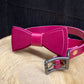 Purple Dog Collar with Bowtie