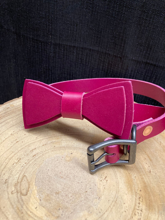 Purple Dog Collar with Bowtie