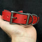 Red (Black Edges) Dog Collar with Bowtie